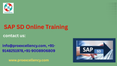  SAP SD End-User Training in Bangalore for 2025, designed mainly for commercial enterprise users, help staff, and aspiring SAP specialists who work or intend to work on SAP SD tactics in actual-time commercial enterprise environments. Recognized as one of the pinnacle schooling institutes in Bangalore , Proexcellency guarantees a fingers-on, clean-to-apprehend gaining knowledge of revel in tailored for quit-users and not using a previous SAP technical know-how. info@proexcellency.com more info you should Approach in this email Id & get Discount 
rakshith@proexcellency.com 