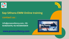  SAP S/4HANA Extended Warehouse Management (EWM) Online Training  is one of the most powerful equipment for streamlining operations, making sure stock accuracy, and enabling actual-time visibility of stock actions. Our Learn SAP S/4HANA EWM Online – From Basics to Advanced direction is designed to present you a entire talent set—whether or not you're a beginner just beginning your SAP adventure or an skilled professional looking to improve your information. This absolutely on-line training is delivered through stay, trainer-led classes led through licensed SAP EWM experts. You’ll advantage a sturdy foundation in SAP S/4HANA standards, which include system architecture, records glide, and the role of EWM within the larger ERP ecosystem.  more info you should Approach in this email Id & get Discount 
rakshith@proexcellency.com 